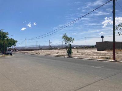 Terrenos Venta San Juan Venta. Lotes De 260 M2 En Barrio Piedra Buena. Chimbas