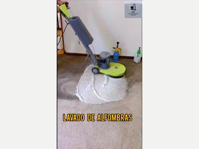 Varios Lavado de alfombras y tapizados 