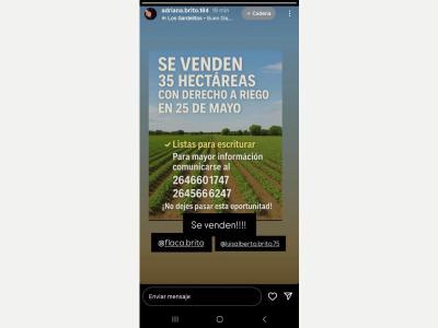 Fincas y Campos Venta San Juan Se venden Hectreas listas para escriturar!
