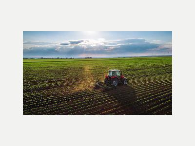  ENCARGADO PARA FINCA 