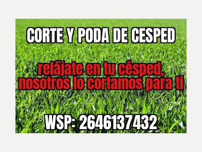  Se corta el csped 