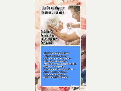  Asistente de adultos mayores 