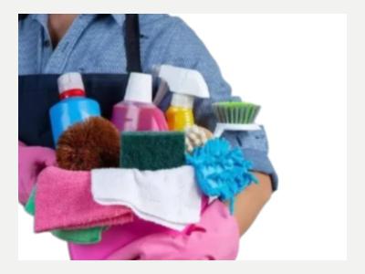 Busqueda de Trabajo  Busco Empleo en Limpieza