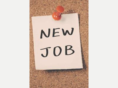  ESTUDIANTE BUSCA TRABAJO DE MA�ANA 