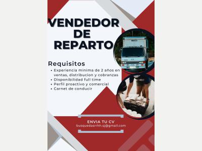  VENDEDOR DE REPARTO 