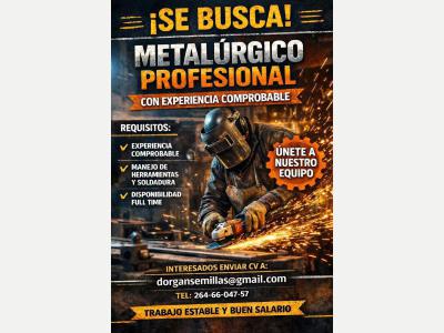  Especialista en Metal�rgica 