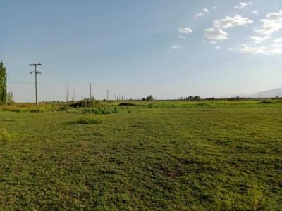 Terrenos Venta San Juan VENDO LOTES DE 2000 m� - BUSSO PROPIEDADES