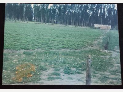 Terrenos Venta San Juan Campo en Las Flores - Iglesia