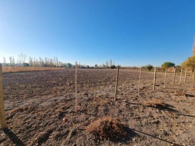 Terrenos Venta San Juan VENDO TERRENO DE 10.400 M2 - POCITO