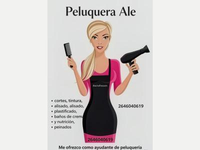  Me ofresco como ayudante de peluquer�a 