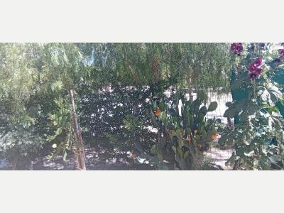 Casas Venta San Juan Vendo casa en albard�n