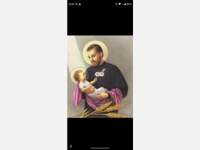  Se�ora 