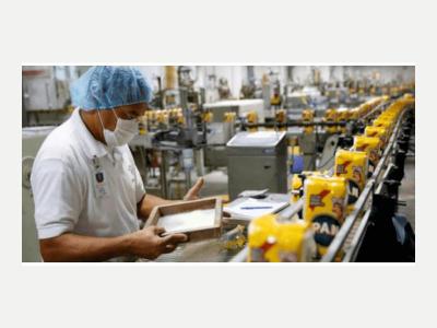  Me ofresco para operario de elaboraci�n y tareas varias, urgente 