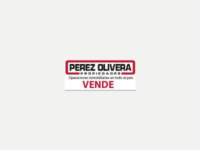 Terrenos Venta San Juan PEREZ OLIVERA 421-1474