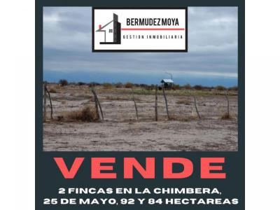 Fincas y Campos Venta San Juan BERMUDEZ MOYA 2646725589 / 2646705459 / 2645285352