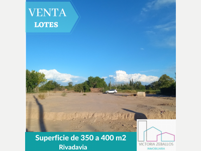 Terrenos Venta San Juan Vendo - Lotes Ubicados En Rivadavia.