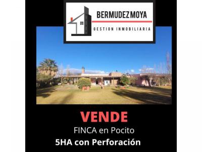 Casas Quinta  San Juan BERMUDEZ MOYA 2646725589 / 2646705459 / 2645285352