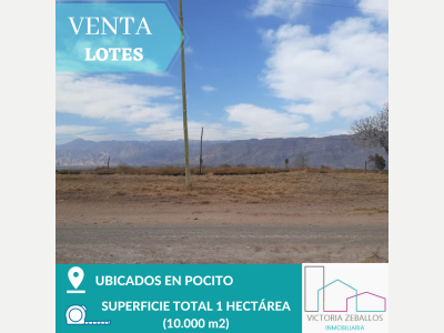 Terrenos Venta San Juan Venta Lotes de 10.000m2. Pocito