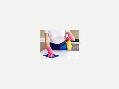 Ofertas de Trabajo en San Juan Pedidos Domestica