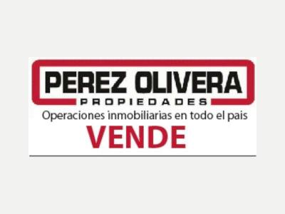 Terrenos Venta San Juan PEREZ OLIVERA 421-1474