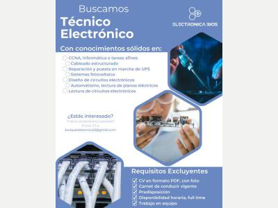 Técnico Electrónico / Eléctrico 