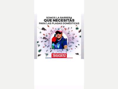 Ofertas de Trabajo en San Juan  Fumigaciones de todo tipo de plagas