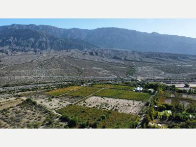 Fincas y Campos Venta San Juan PEREZ OLIVERA 421-1474