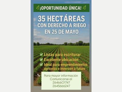 Fincas y Campos Venta San Juan 35 hectreas