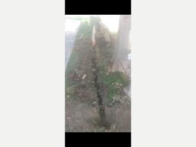 Busqueda de Trabajo  Joven responsable se ofrece para trabajar