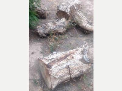 Hogar Muebles Jardin Compra Ventas varias REGALO MADERA DE AGUARIBAY