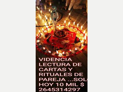  Servicios Varios Tarot Astrologia vidente celia, 50 a�os ayudando a la gente 2644469231