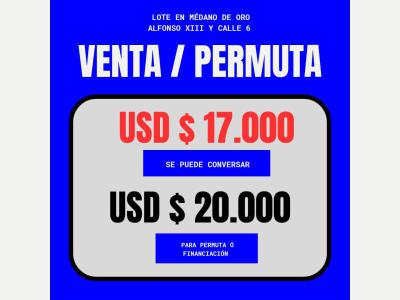 Terrenos Venta San Juan LOTE M�dano de Oro  20 m  x 104 m. Due�a vende/permuta auto menor valor