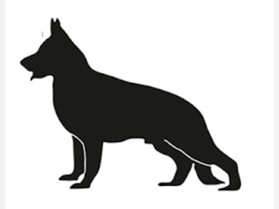 Servicios Mascotas CONDUCTISTA CANINO 