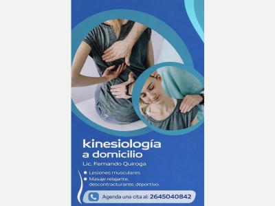 Profesionales Kinesiologos KINESIOLOG�A A DOMICILIO