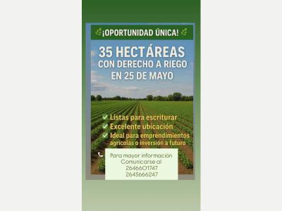 Fincas y Campos Venta San Juan EN VENTA! 35 HECTAREAS