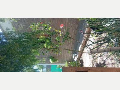 Casas Venta San Juan Vendo casa en albard�n