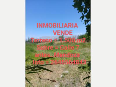 Fincas y Campos Venta San Juan Terreno Sobre Calle 7